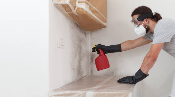 Professional Bathroom Mold Removal technician working in Dayton, NJ